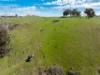 'Pemberley' 57 Bunyarra Lane, Orange NSW 2800-Image