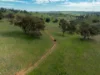 'Pemberley' 57 Bunyarra Lane, Orange NSW 2800-Image