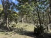 PID 6833089 Tunbridge Tier Road, Interlaken, Tas 7030