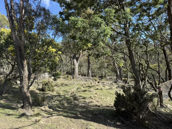PID 6833089 Tunbridge Tier Road, Interlaken, Tas 7030