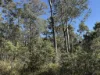PID 6833089 Tunbridge Tier Road, Interlaken, Tas 7030-Image