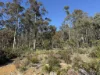 PID 6833089 Tunbridge Tier Road, Interlaken, Tas 7030-Image
