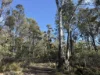 PID 6833089 Tunbridge Tier Road, Interlaken, Tas 7030-Image