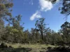 PID 6833089 Tunbridge Tier Road, Interlaken, Tas 7030-Image