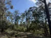 PID 6833089 Tunbridge Tier Road, Interlaken, Tas 7030-Image