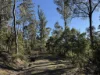 PID 6833089 Tunbridge Tier Road, Interlaken, Tas 7030-Image
