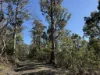 PID 6833089 Tunbridge Tier Road, Interlaken, Tas 7030-Image