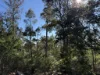 PID 6833089 Tunbridge Tier Road, Interlaken, Tas 7030-Image