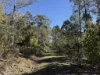 PID 6833089 Tunbridge Tier Road, Interlaken, Tas 7030-Image
