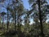 PID 6833089 Tunbridge Tier Road, Interlaken, Tas 7030-Image