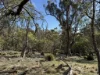 PID 6833089 Tunbridge Tier Road, Interlaken, Tas 7030-Image
