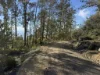 PID 6833089 Tunbridge Tier Road, Interlaken, Tas 7030-Image