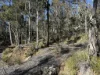 PID 6833089 Tunbridge Tier Road, Interlaken, Tas 7030-Image