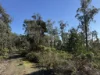 PID 6833089 Tunbridge Tier Road, Interlaken, Tas 7030-Image