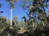 PID 6833089 Tunbridge Tier Road, Interlaken, Tas 7030-Image