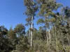 PID 6833089 Tunbridge Tier Road, Interlaken, Tas 7030-Image
