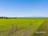 "Pindimar" 76 Annandale Row, Denman NSW 2328-Image