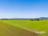 "Pindimar" 76 Annandale Row, Denman NSW 2328-Image