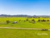 "Pindimar" 76 Annandale Row, Denman NSW 2328-Image