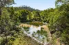 'Pine Valley Ranch'/176 McMullen Road, Hampton QLD 4352-Image