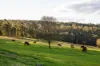 'Pine Valley Ranch'/176 McMullen Road, Hampton QLD 4352-Image