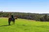'Pine Valley Ranch'/176 McMullen Road, Hampton QLD 4352-Image