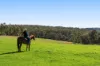 'Pine Valley Ranch' 176 McMullen Road, Hampton, Qld 4352-Image