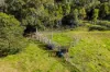 'Pine Valley Ranch'/176 McMullen Road, Hampton QLD 4352-Image