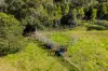 'Pine Valley Ranch' 176 McMullen Road, Hampton, Qld 4352-Image