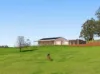'Pine Valley Ranch' 176 McMullen Road, Hampton, Qld 4352-Image