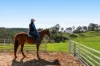 'Pine Valley Ranch' 176 McMullen Road, Hampton, Qld 4352-Image