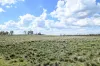 "Red Crossing", 412 Lugarno Road, Dry Plain, NSW 2630-Image