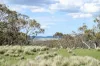 "Red Crossing", 412 Lugarno Road, Dry Plain, NSW 2630-Image