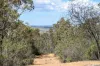 "Red Crossing", 412 Lugarno Road, Dry Plain, NSW 2630-Image