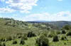 "Red Crossing", 412 Lugarno Road, Dry Plain, NSW 2630-Image