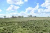 "Red Crossing", 412 Lugarno Road, Dry Plain, NSW 2630-Image