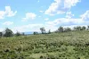 "Red Crossing", 412 Lugarno Road, Dry Plain, NSW 2630-Image