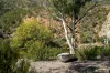 "Red Crossing", 412 Lugarno Road, Dry Plain, NSW 2630-Image