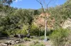 "Red Crossing", 412 Lugarno Road, Dry Plain, NSW 2630-Image