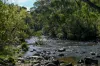 "Red Crossing", 412 Lugarno Road, Dry Plain, NSW 2630-Image