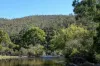 "Red Crossing", 412 Lugarno Road, Dry Plain, NSW 2630-Image