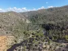 "Red Crossing", 412 Lugarno Road, Dry Plain, NSW 2630-Image