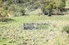 "Red Crossing", 412 Lugarno Road, Dry Plain, NSW 2630-Image