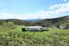 "Red Crossing", 412 Lugarno Road, Dry Plain, NSW 2630-Image