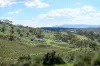 "Red Crossing", 412 Lugarno Road, Dry Plain, NSW 2630-Image
