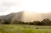 "Riverdance" 2138 Maleny - Kenilworth Road, Conondale QLD 4552-Image