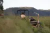 "Riverdance" 2138 Maleny - Kenilworth Road, Conondale QLD 4552-Image