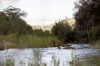 "Riverdance" 2138 Maleny - Kenilworth Road, Conondale QLD 4552-Image