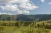 "Riverdance" 2138 Maleny - Kenilworth Road, Conondale QLD 4552-Image