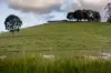 "Riverdance" 2138 Maleny - Kenilworth Road, Conondale QLD 4552-Image